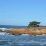 CambriaCN_210 (October 26, 2014)